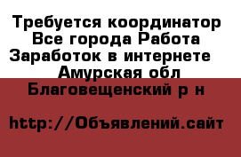 Требуется координатор - Все города Работа » Заработок в интернете   . Амурская обл.,Благовещенский р-н